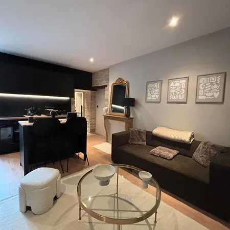 Apartment Art & Sens - Pierres Apparentes, Tram 4 Min A Pied *